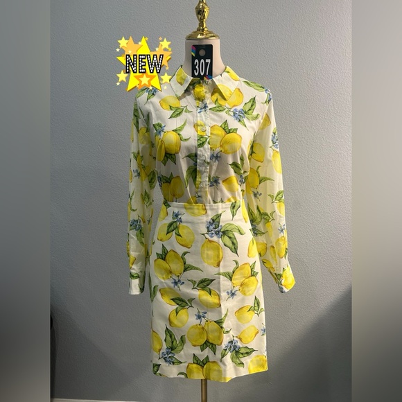 Talbots Other - Talbots Blouse & Skirt #307